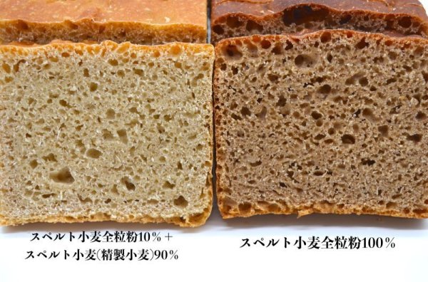 画像1: オーガニックスペルト小麦100％パン (1)