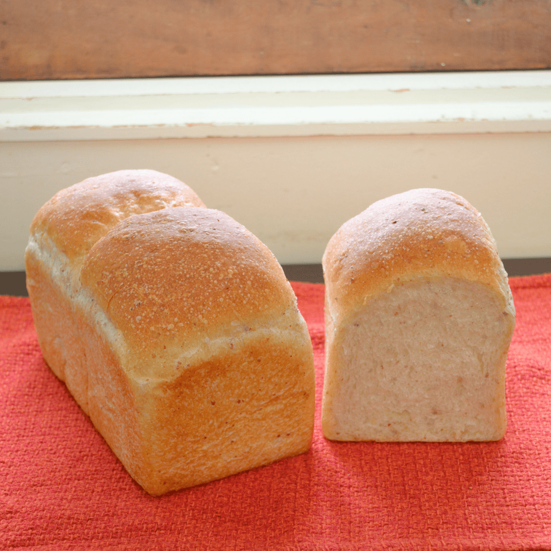 トーストプレーン（食パン）